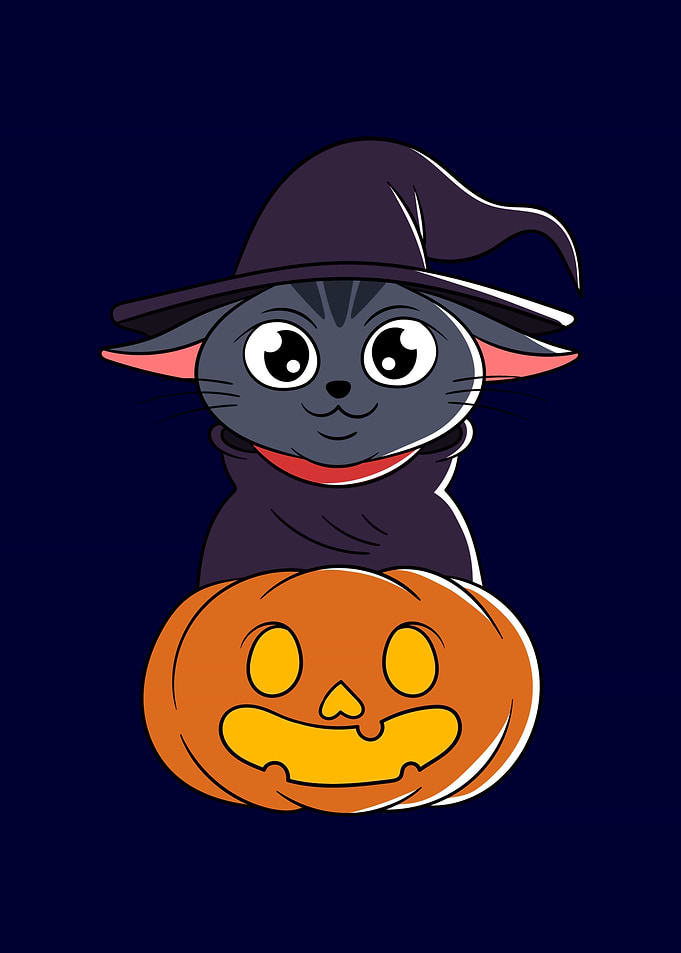 Halloween Witch Cat