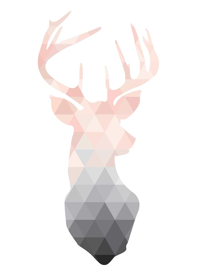 Blush Deer