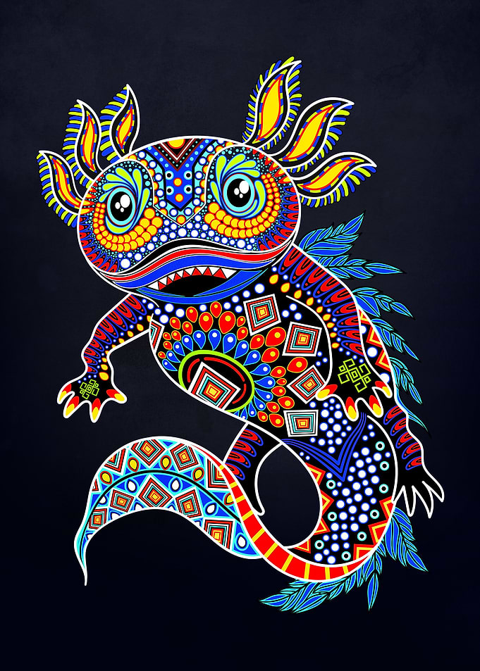 axolotl