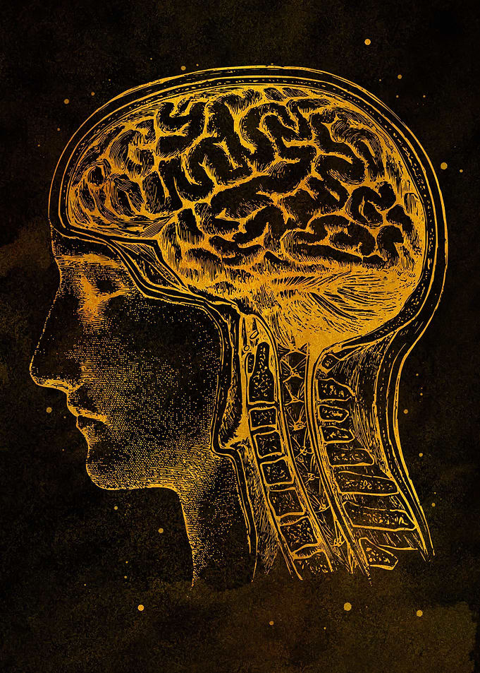 Brain Gold