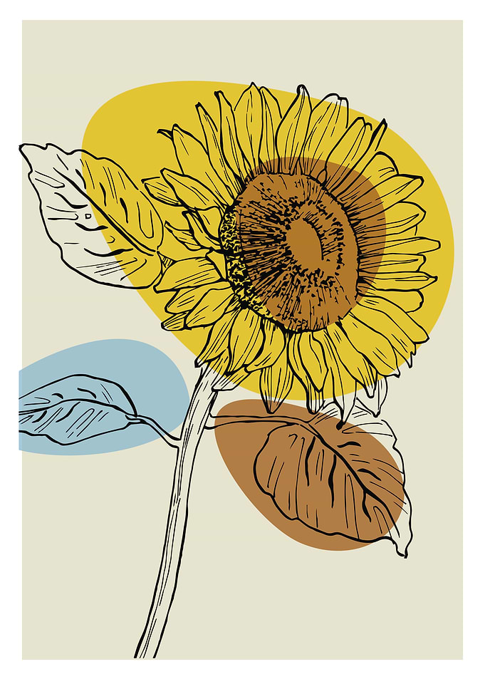 Minimalist Sunflower