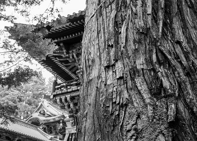 NIKKO