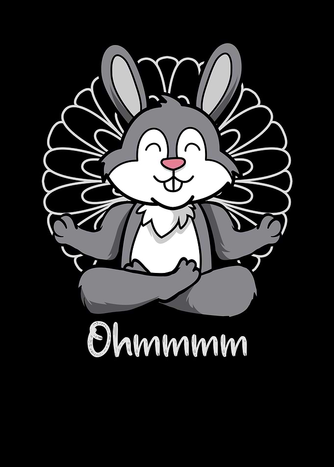 Meditation Hase Yoga