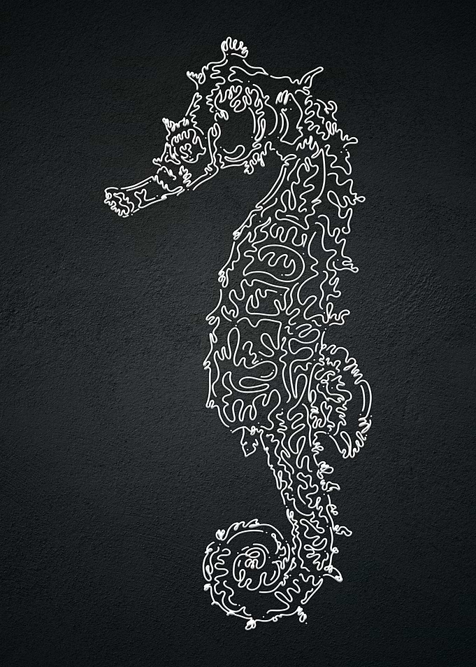 SEAHORSE