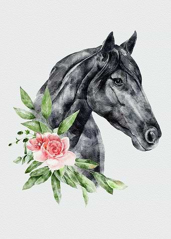 Horse Animal with Flower