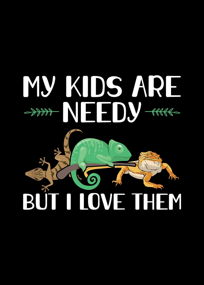 Lizard Pet Animals Lizards
