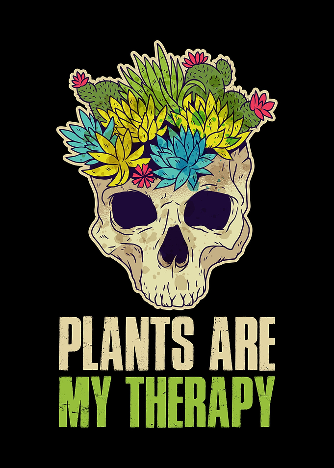 Skeleton Plants Are My