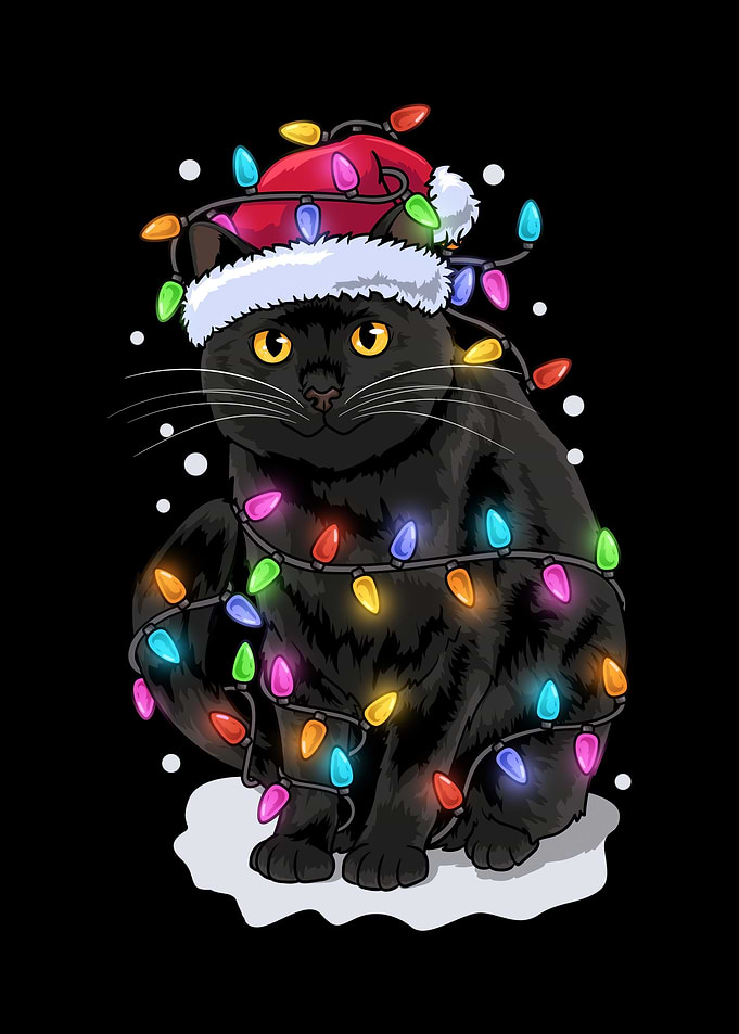 Cat Christmas Santa Hat