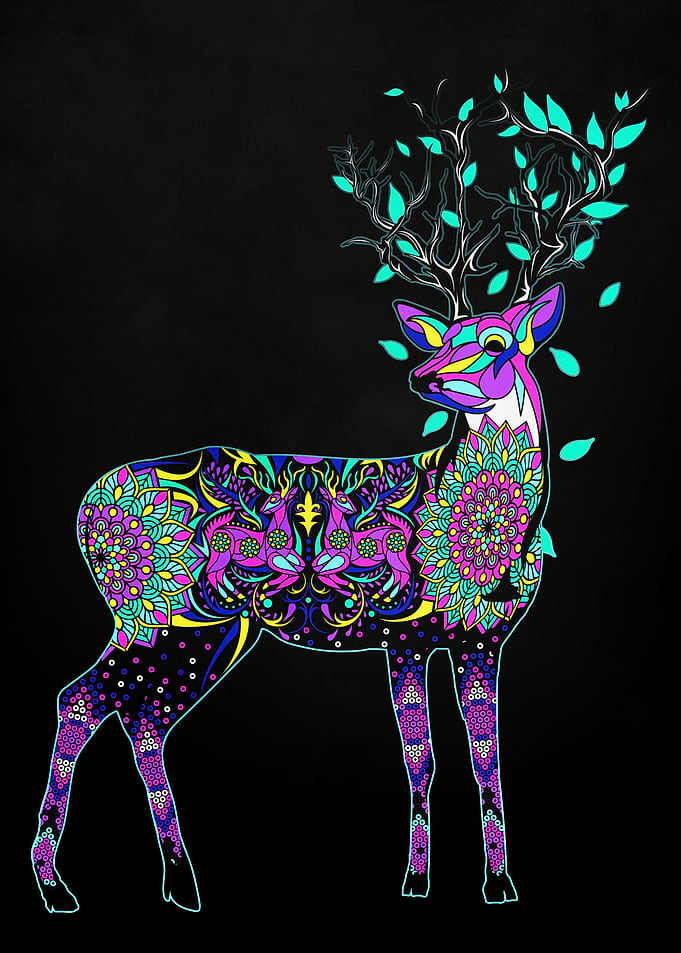 deer huichol