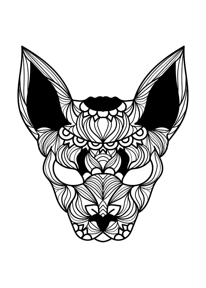 Sphynx Cat