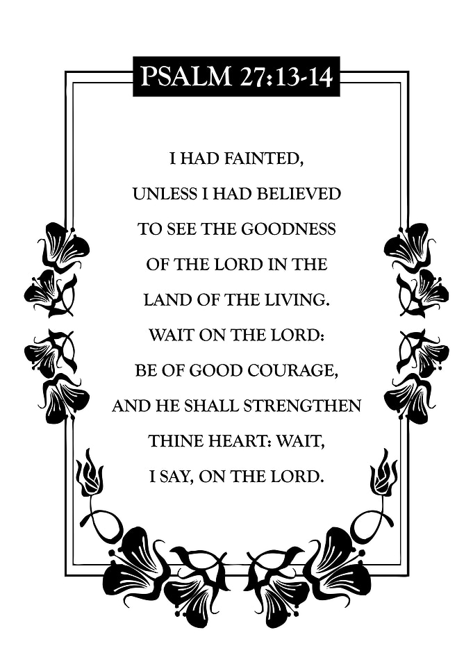 Psalm 27 13 14