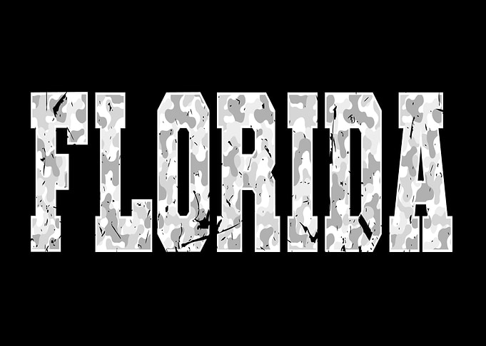 Distressed Camo Florida