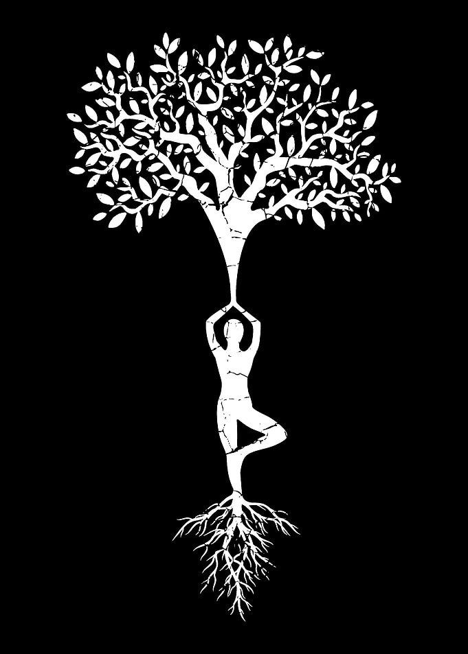 Tree Nature Yoga Instructo