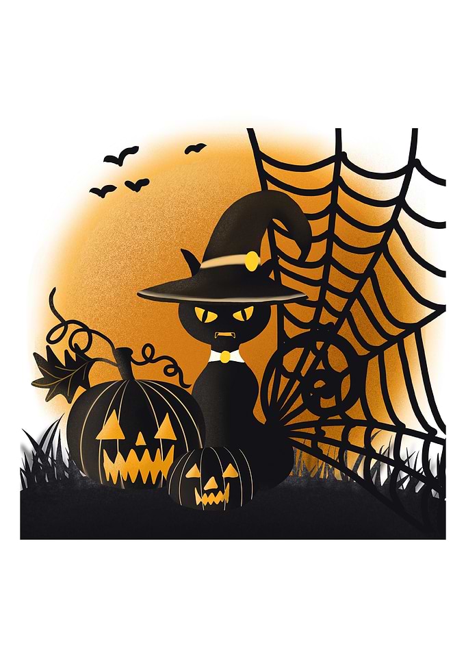 Halloween Cat
