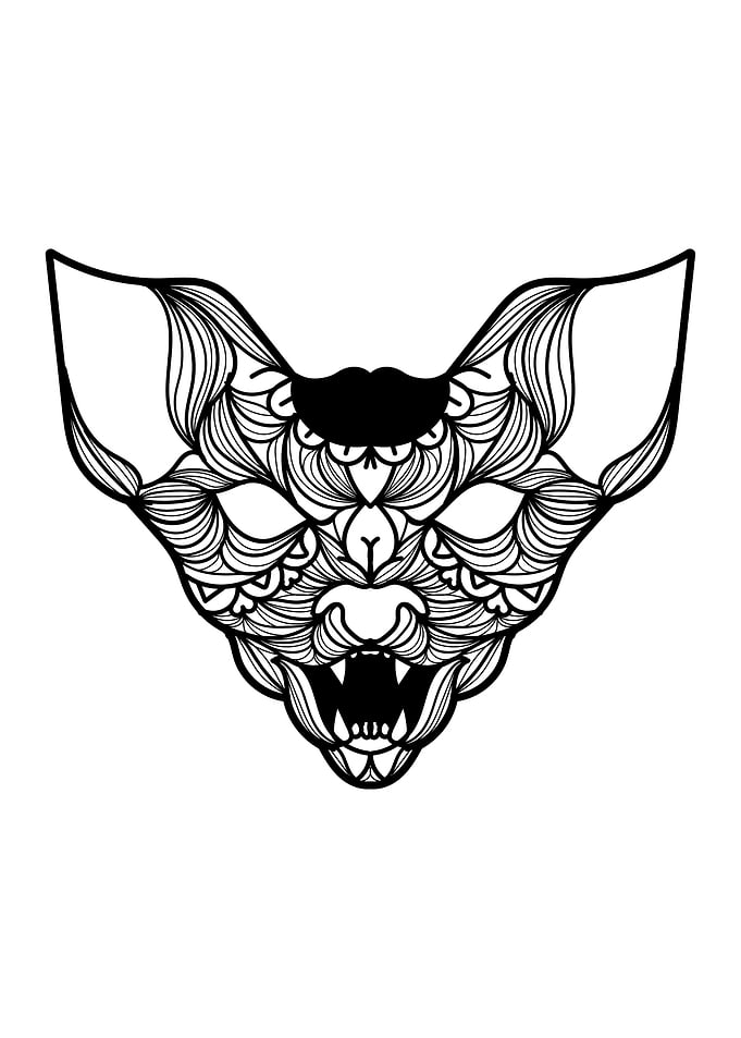 Sphynx Cat