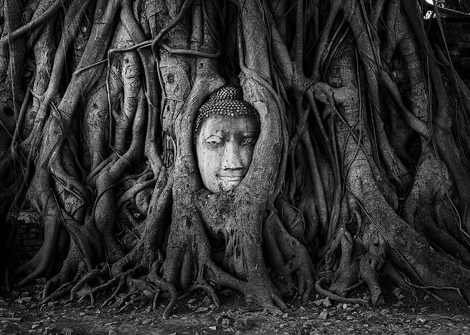 Buddha