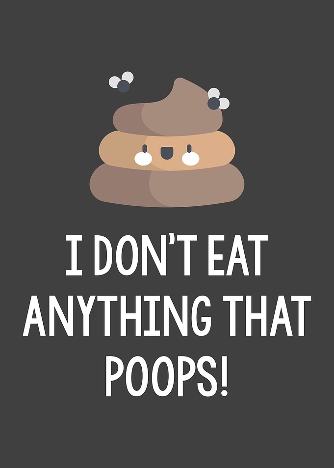 Vegan I Dont Eat Anything