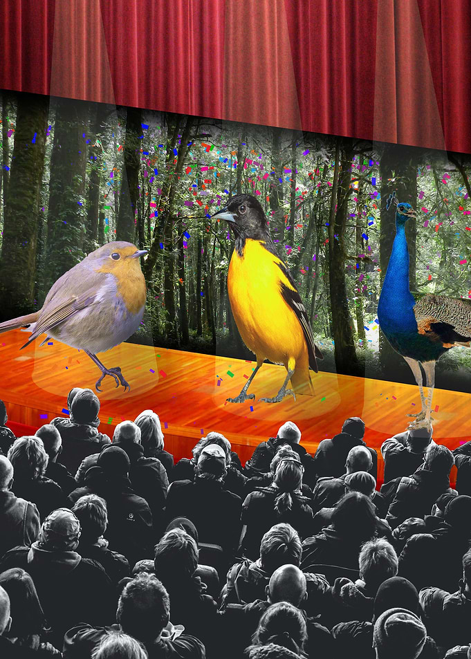 Bird Watching Collage Art
