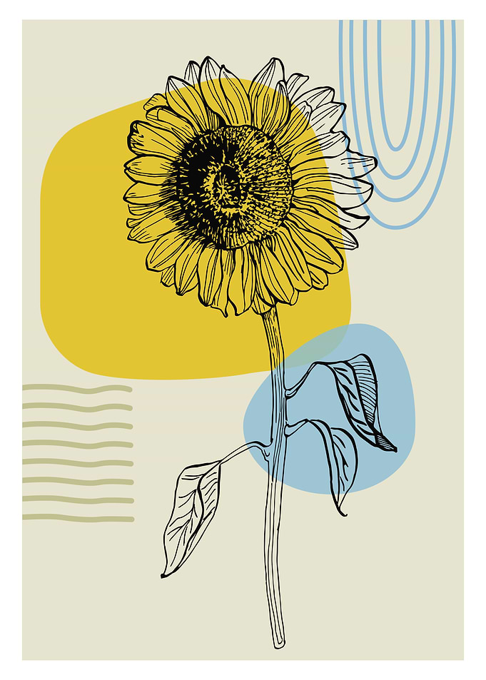 Abstract Sunflower