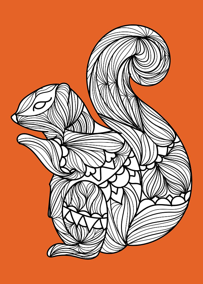 Squirrel