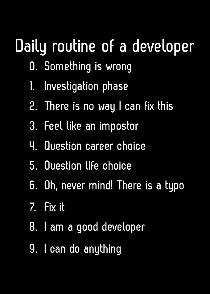 Programmer Joke Developer