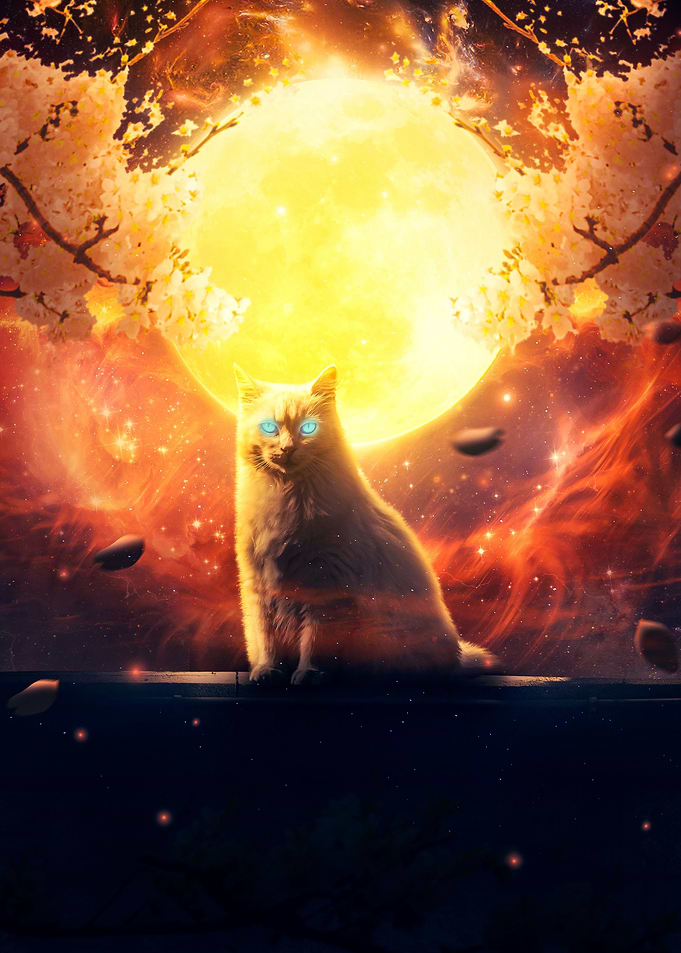 Cat Walk Poster