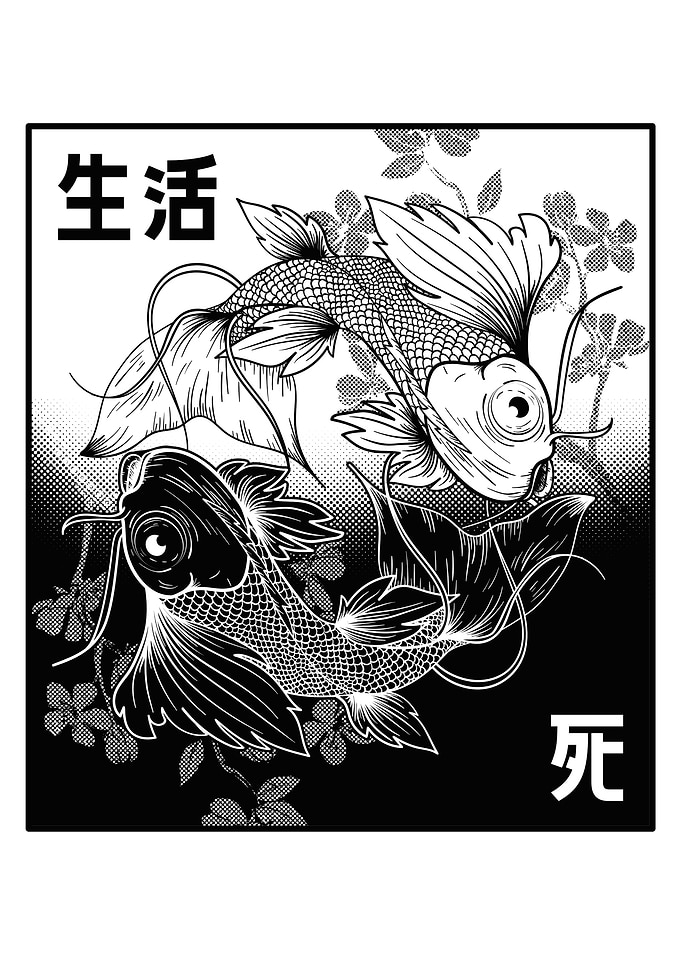 Yin Yang Koi Japan