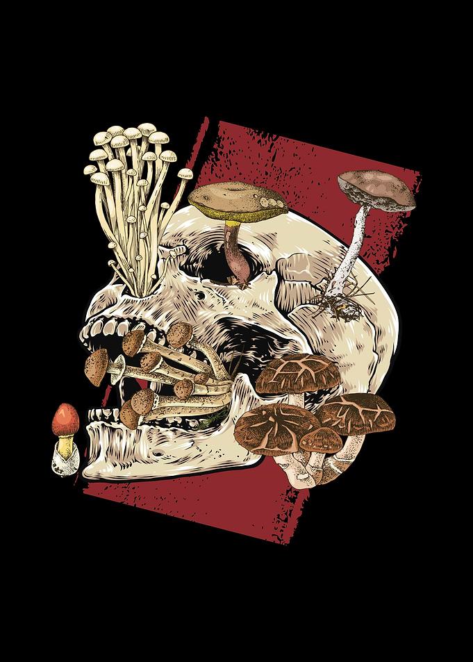 Mushroom Skull