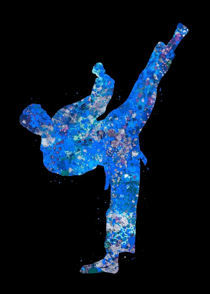 Karate Taekwondo Kick