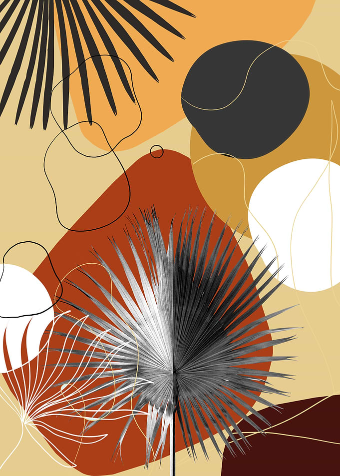 Yin Yang Fan Palm 1
