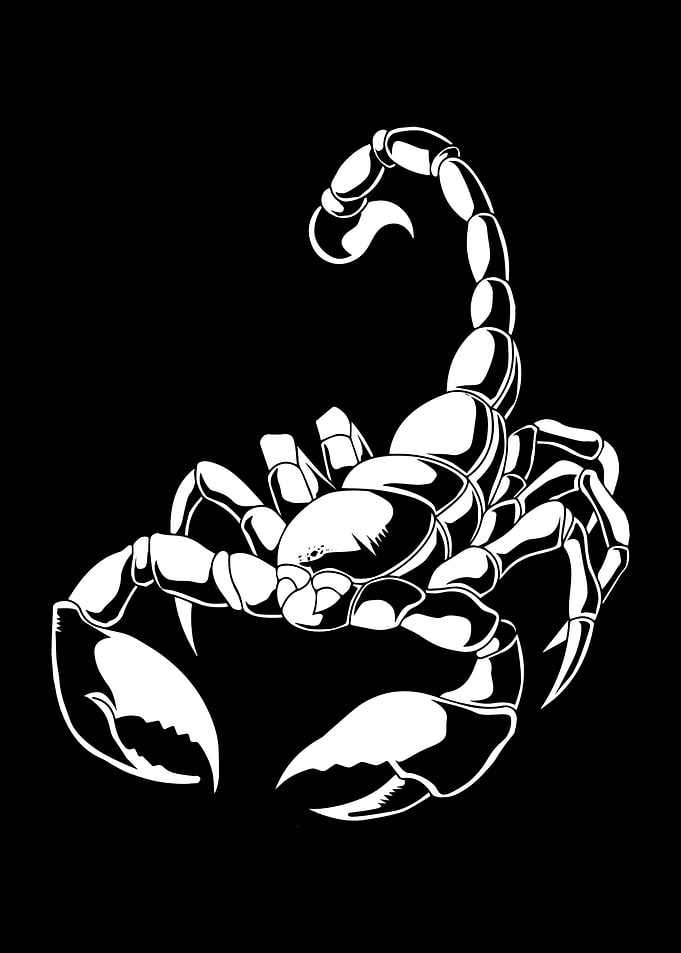 Scorpion Pocket
