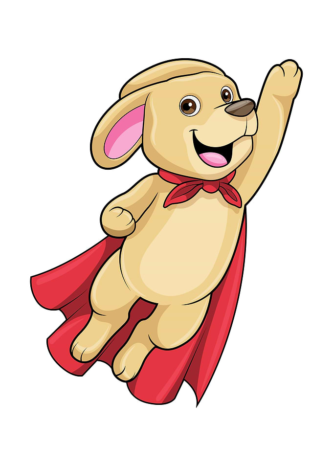 Dog Superhero Cape