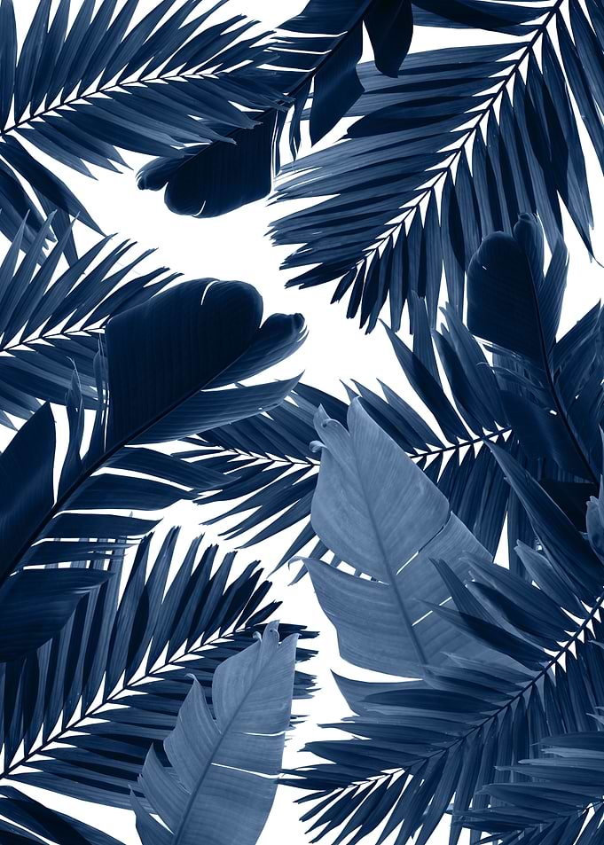 Jungle Leaves Finesse 3