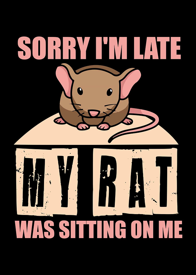 Rat Rodent Rats