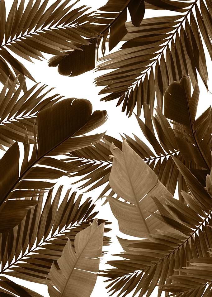 Jungle Leaves Finesse 2