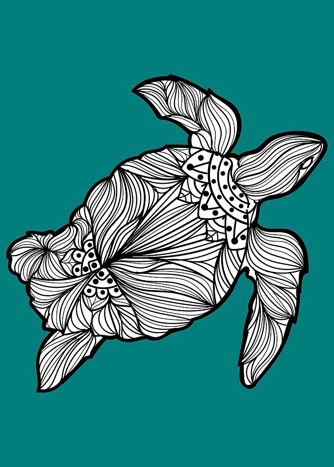 Turtle