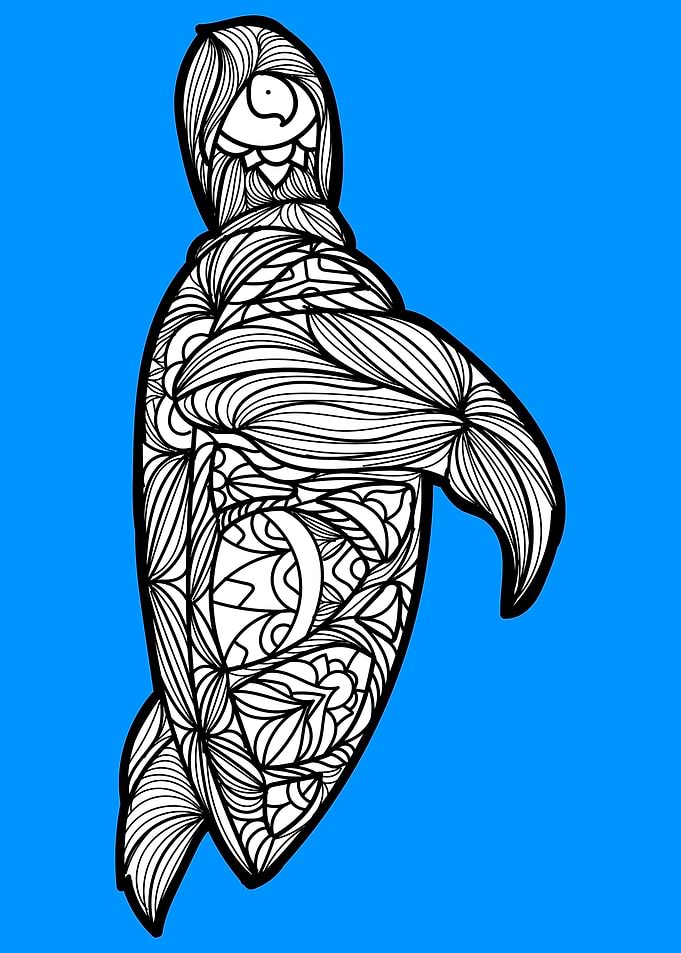 Sea Turtle