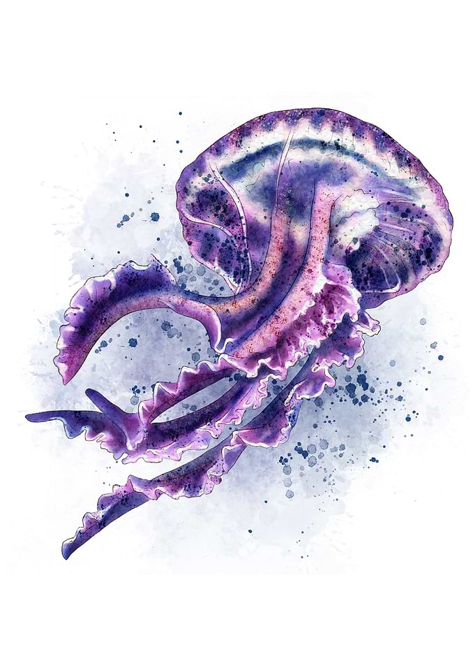 Watercolor Jellyfish