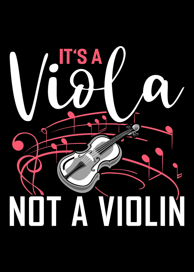 Funny Violinist Music Gift