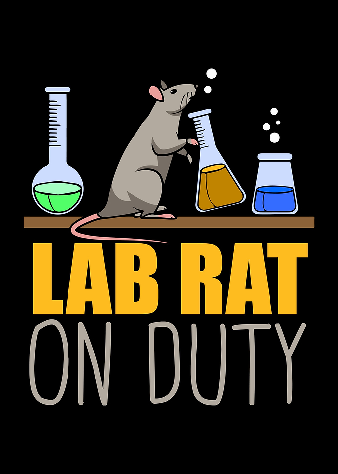 Rat Rodent Rats