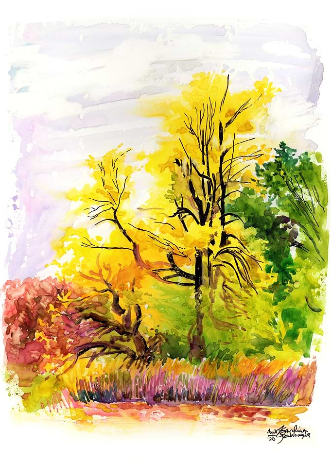 Yellow Autumn Tree