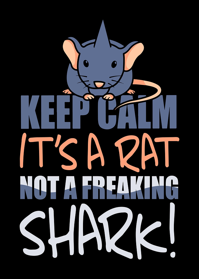 Rat Rodent Rats