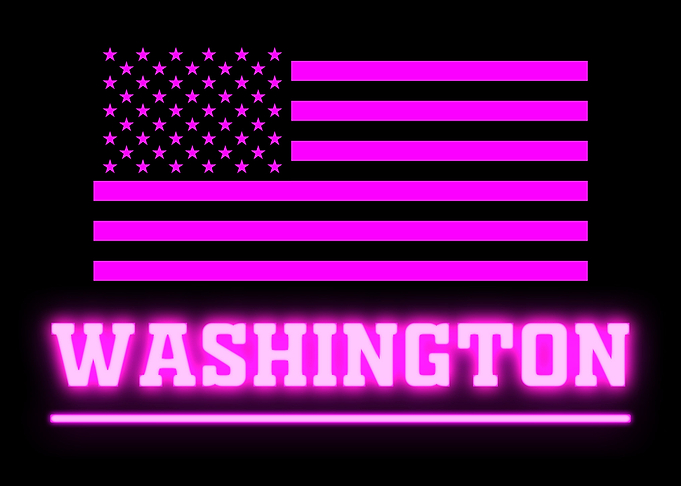 WASHINGTON NEON USA
