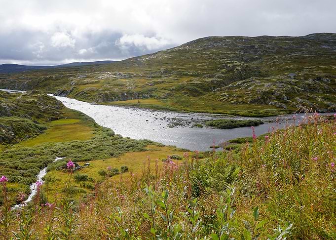Sunny Hardangervidda