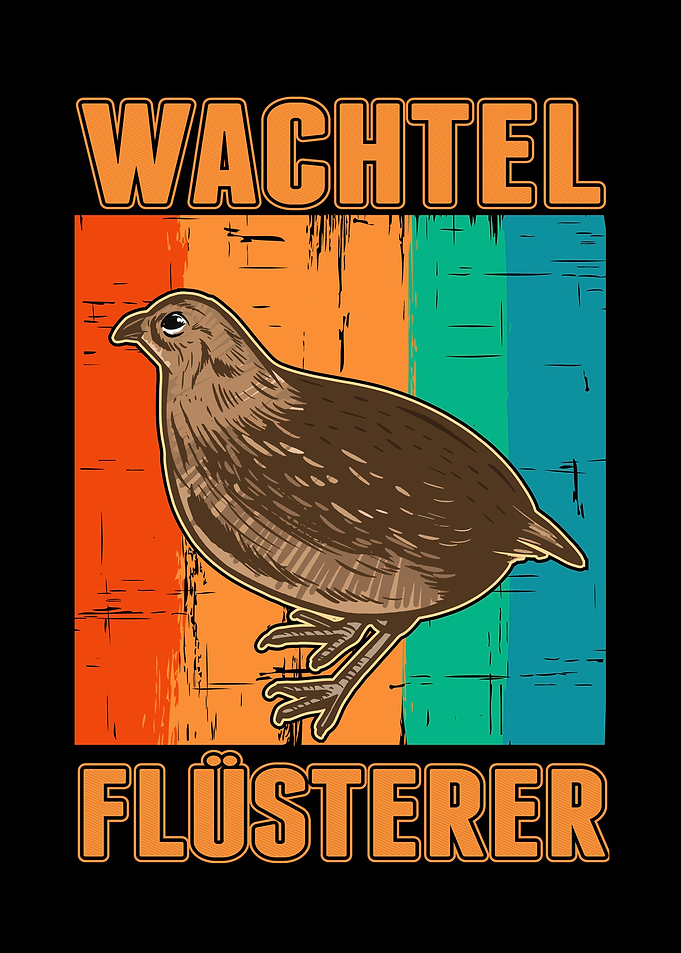 Wachtel Flsterer