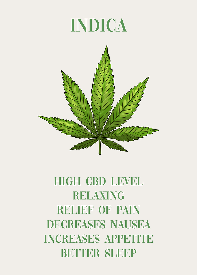 Cannabis Indica Marijuana