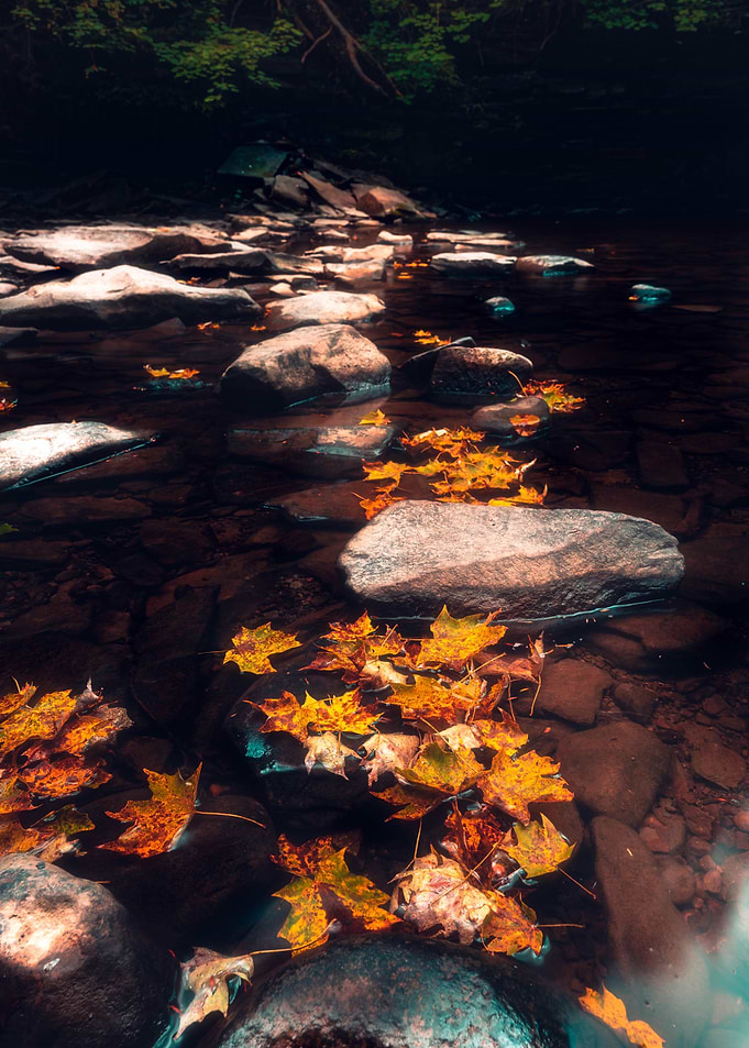 The Beginning Of Autumn