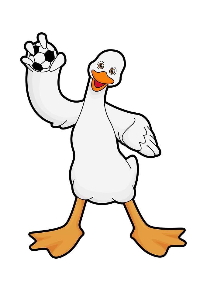 Duck Soccer Sports
