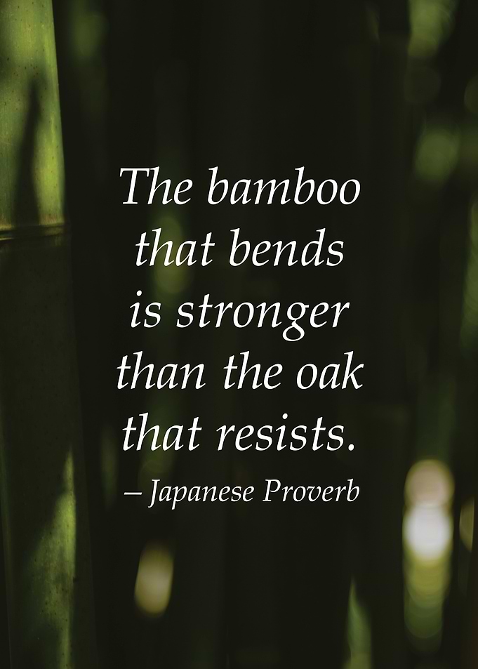Bamboo Inspiring Quote