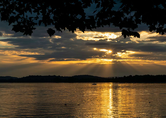 golden summer